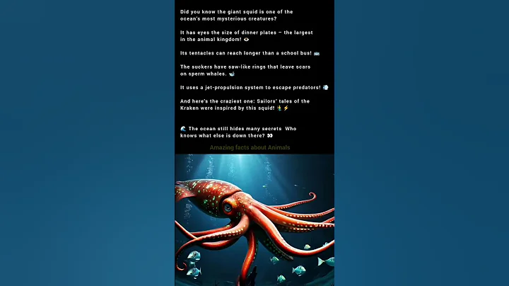Do you know know Giant Squid 🦑 | Deep Sea’s Monster. #shorts #shortvideo #shortreel #trending #viral