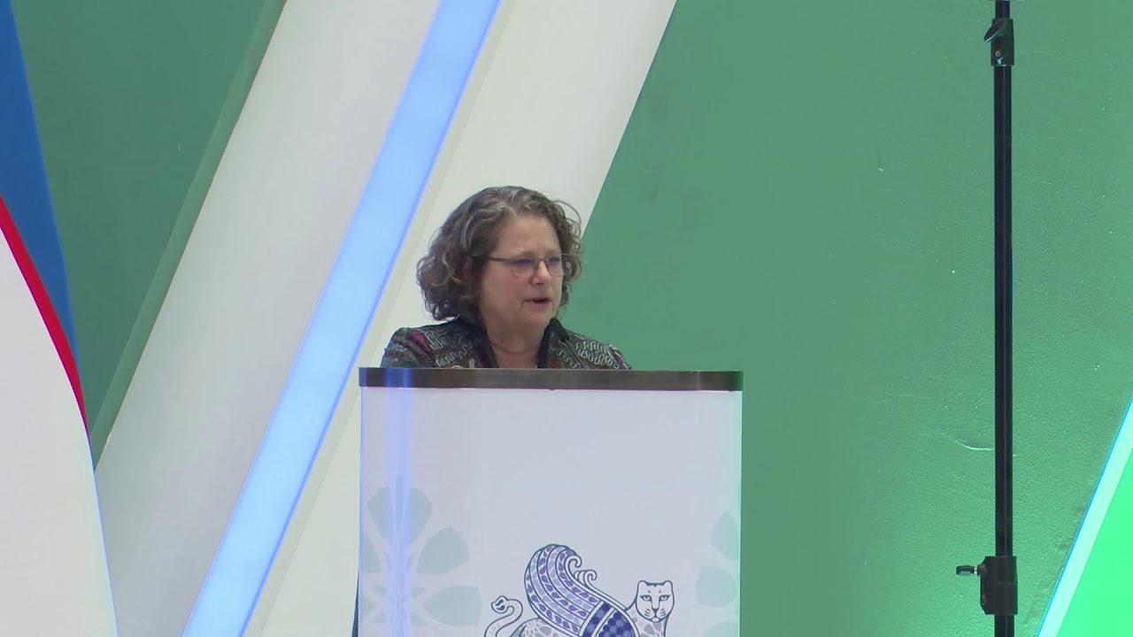 CMS COP14 - 6th Day Plenary [English] / 17 Feb afternoon session