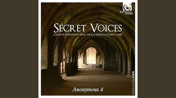 Motet: Salve virgo regia /Ave gloriosa mater / [Domino]