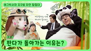 에그박사와 지구별 자연 탐험대ㅣEp.6ㅣ🐼판다가 돌아가는 이유는?ㅣ딩동댕유치원