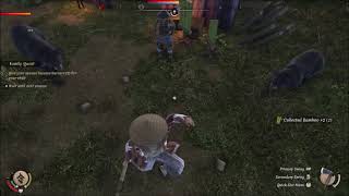 Sengoku Dynasty XBOX: Bringing bear to the party