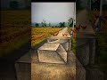 Dog Walking on 3D Cube Illusion 😱 | Amazing Street Art #shorts