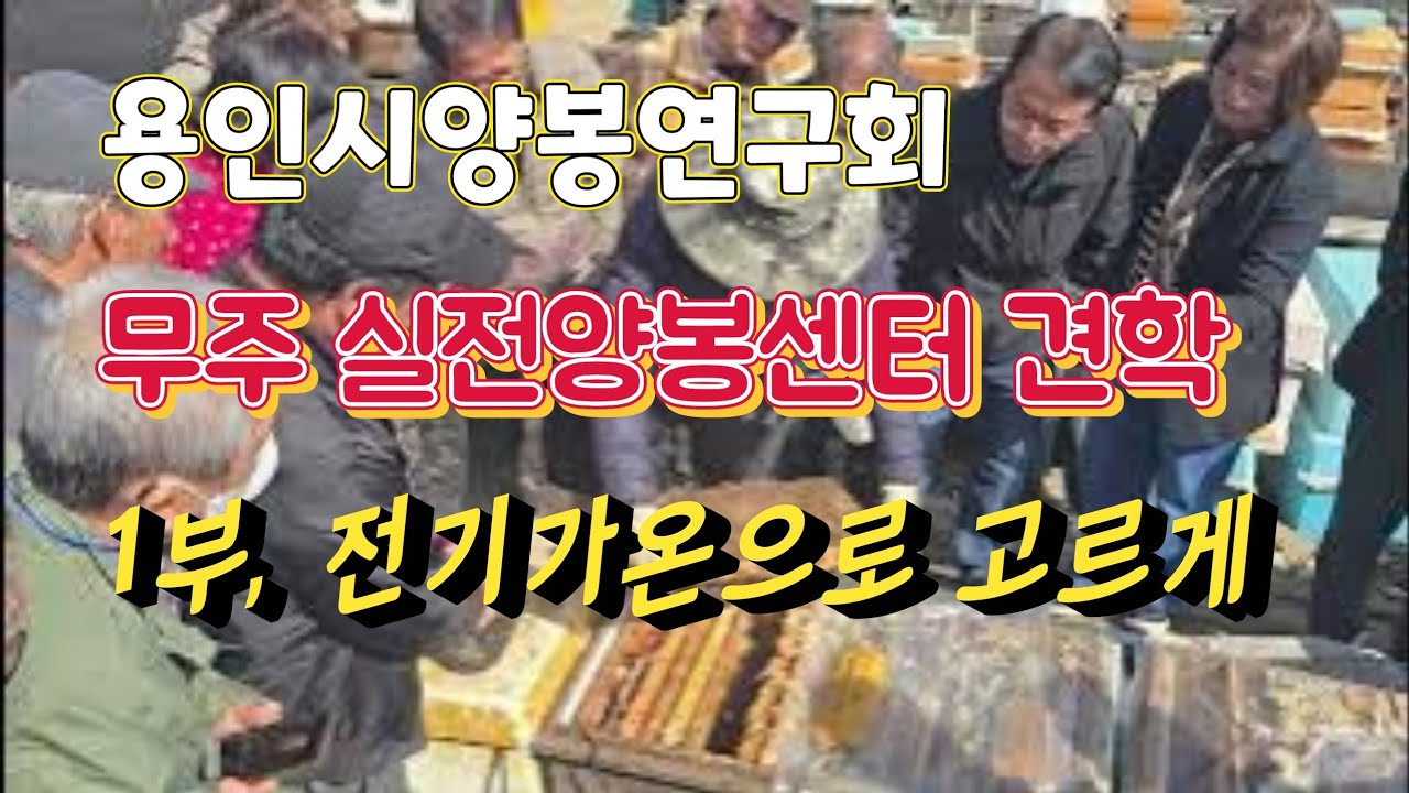 용인시양봉연구회 무주 실전양봉센터 견학1부, 전기가온 1매1가리 2매1가리로 깨운벌