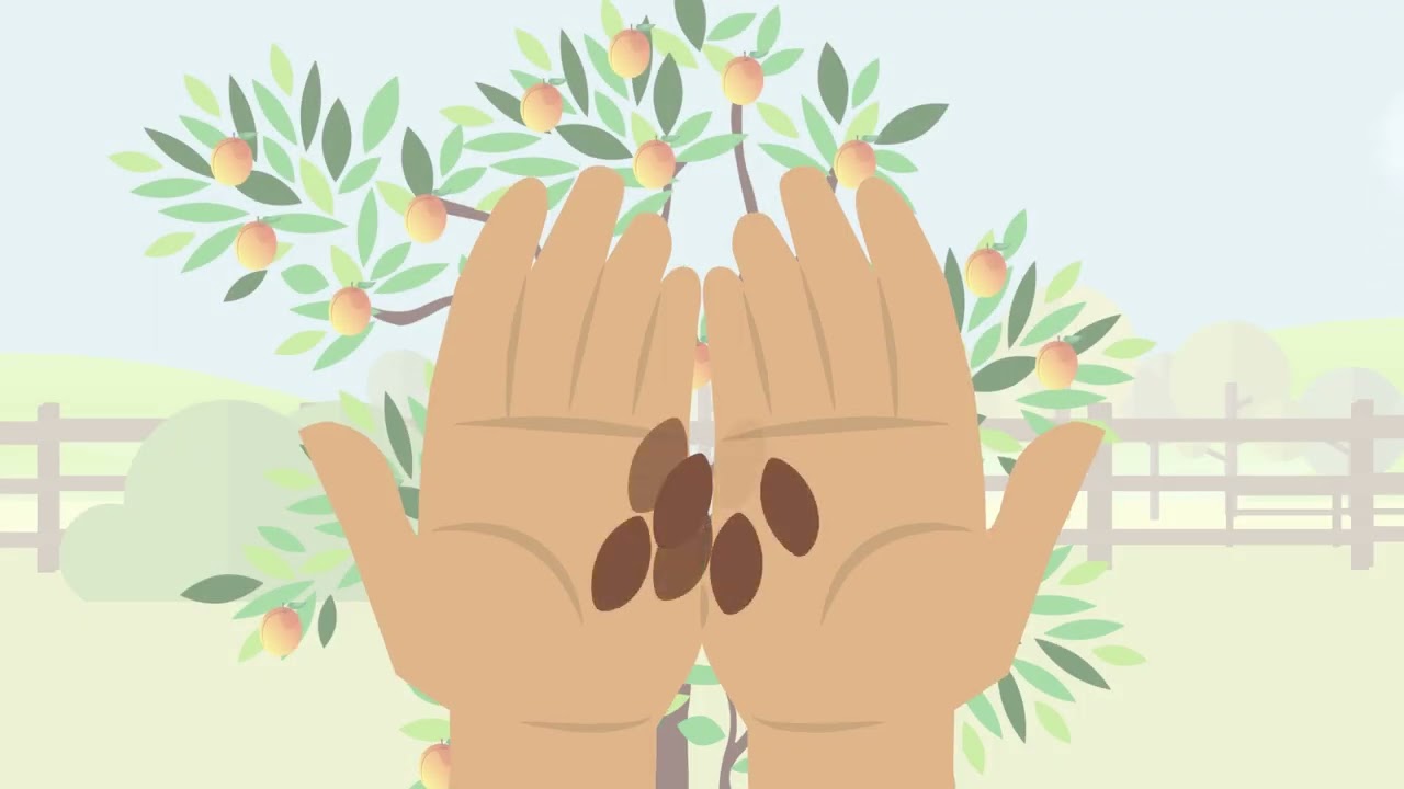 Mapla Biyoteknoloji — Tanıtım