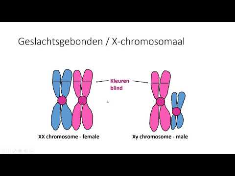 genetica trisomie 21 en andere syndromen