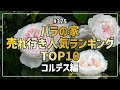 #375 バラの家 売れ行き人気ランキングTOP10 コルデス編