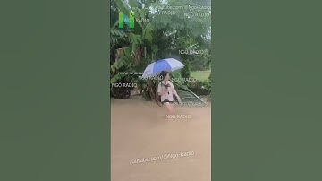 Mưa lũ lịch sử giữa mùa hè Quảng Nam thất thủ bà con nhìn tài sản trôi theo dòng nước