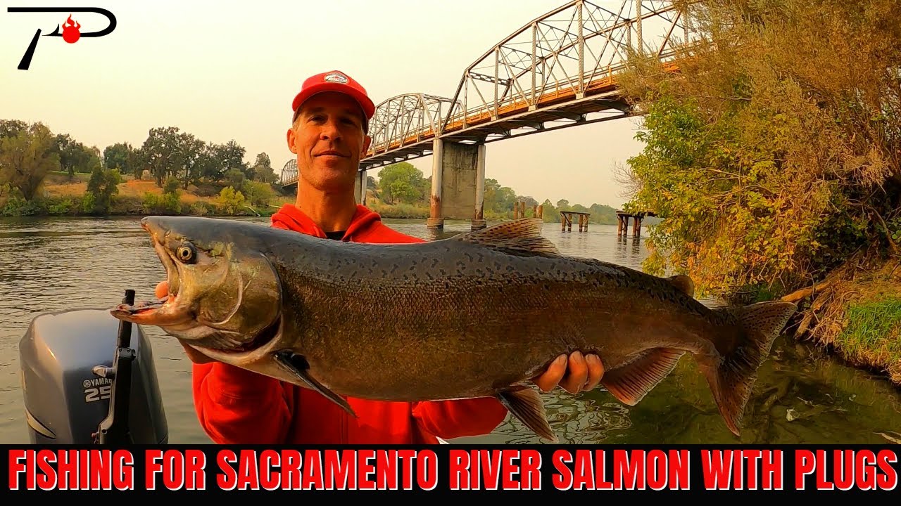 Plug Fishing for Sacramento River Salmon 