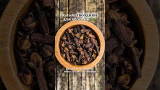 Польза гвоздики для иужчин  #көктем #бизнес #гвоздики #рекомендации #рек