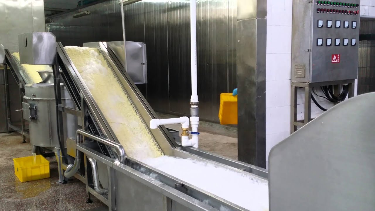 processing IQF frozen garlic cubes at mainlandfood