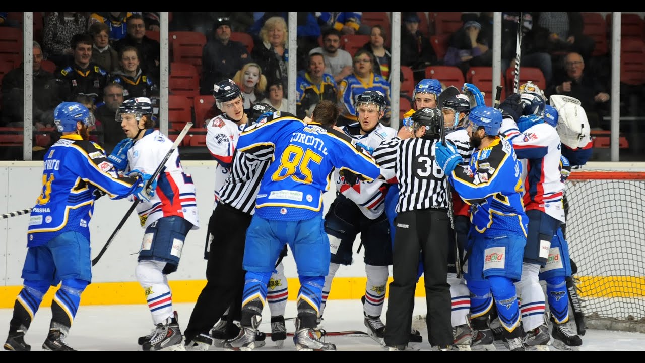 Hull Stingrays v Dundee Stars