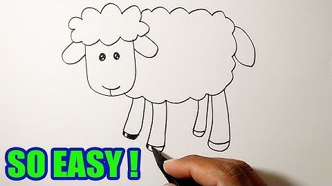 How to draw a sheep | EASY TO FOLLOW