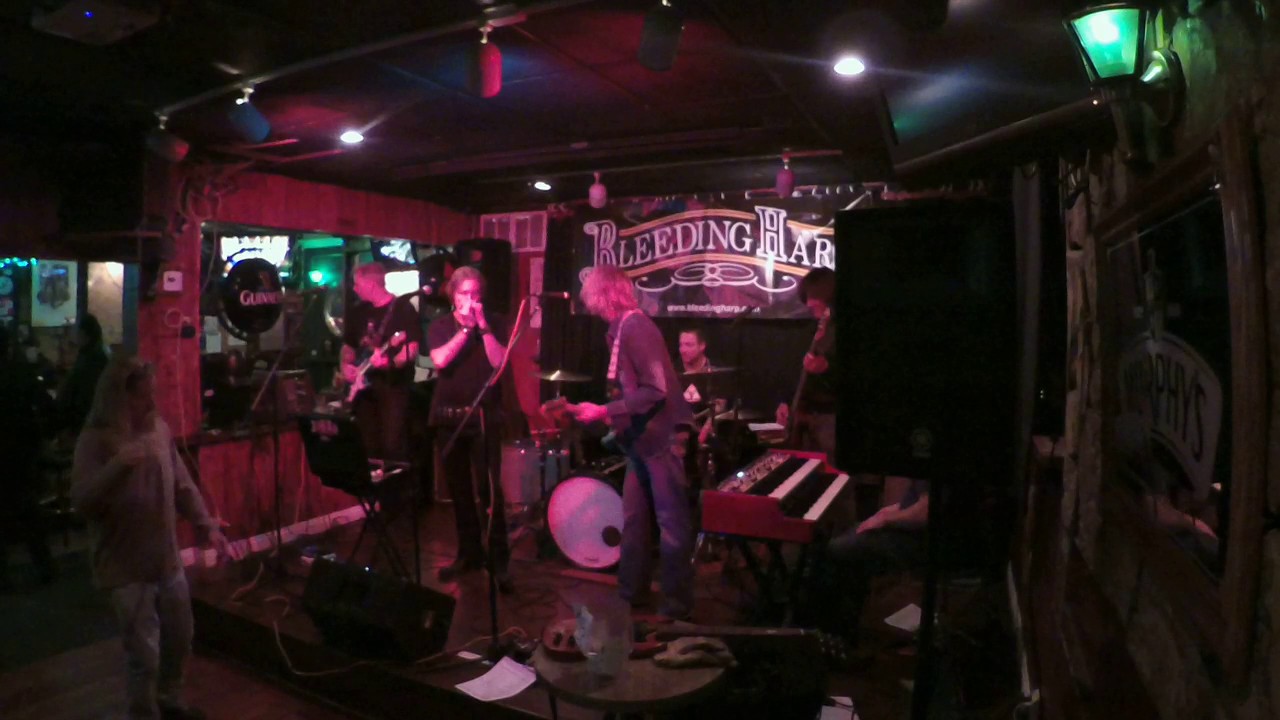 Bleeding Harp - Fool For Your Stockings (ZZ Top)