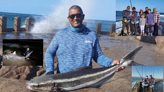 Ocean MYSTERIES Margate pier delivers once again, @Michael and Angie Hardthrow Margate pier Fishing