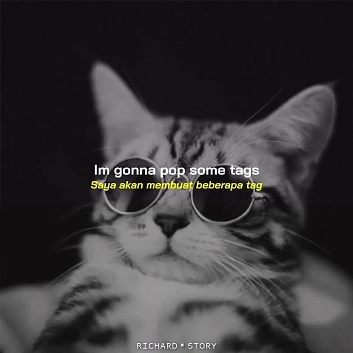 Story Wa / Status Wa |macklemore & ryan lewis - thrift shop remix