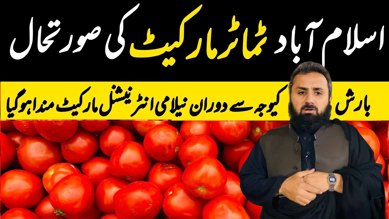 Tomatoes Market Update Sindh Karachi Tomato updates Sabzi Mandi