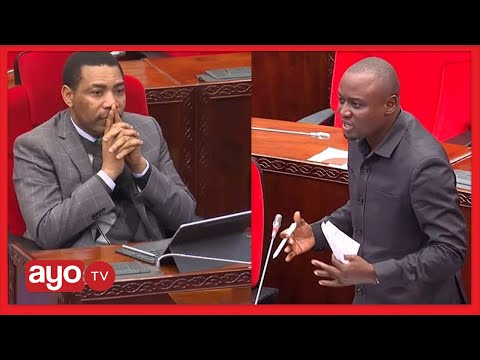 MBUNGE GAMBO AIKATAA TAARIFA YA WAZIRI MWIGULU AFUNGUKA MFUMUKO WA BEI SIO JAMBO JEPESI