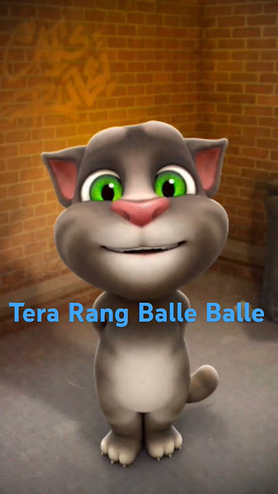 Tera Rang Balle Balle || Sonu Nigam