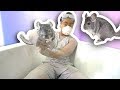 CHINCHILLA DUST BATH CHALLENGE!