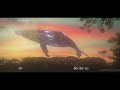 'Lucid Dream' A Dreamy VHS VFX edit