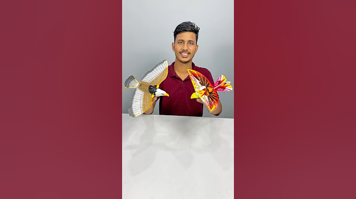 Non RC Eagle Bird VS Remote Control Bird | Remote wala panchi