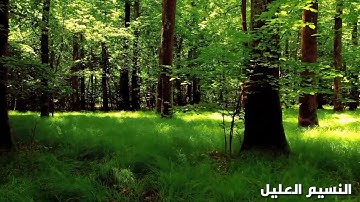 سورة الفاتحة و من بداية سورة البقرة