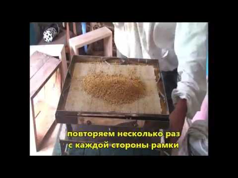 ხელოვნურ ფიჭა-პაზლებზე ჭეოს მიღების ტექნოლოგია