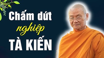 Làm sao kiểm soát được ý niệm Tà Kiến và Tham Ái - Vấn đáp HT. Viên Minh