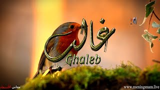 معنى اسم #غالب وصفات حامل هذا الاسم #Ghaleb