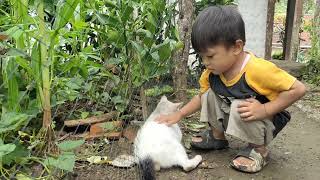 Three cute kittens playing in the garden