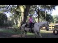 Riding Lessons at Stay&#39;N Country Ranch in Yulee, Florida