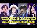 TREASURE &amp; BLACKPINK on the SAME STAGE very soon! YG fans excited for interaction (YG FAMILY 2020)