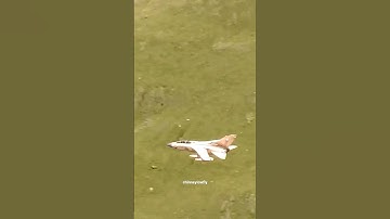 "Pinky" low flying Tornado GR4 in the Mach Loop #shorts #machloop #tornado