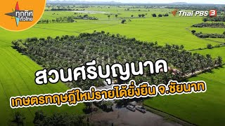 "สวนศรีบุญนาค" เกษตรทฤษฎีใหม่รายได้ยั่งยืน จ.ชัยนาท | อาชีพทั่วไทย