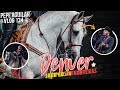 Pepe Aguilar - El Vlog 134 - Denver Jaripeo Sin Fronteras