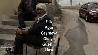 Filiz agar Resimi