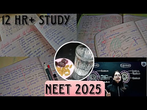 Neet 2025 studying timetable/ vlog-2 /Neet 2025 / neet Aspirants - YouTube