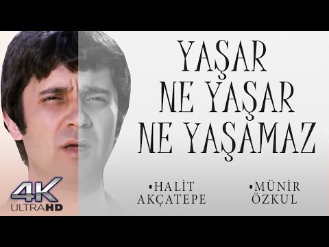 Yaşar Ne Yaşar Ne Yaşamaz Türk Filmi | 4K ULTRA HD | HALİT AKÇATEPE