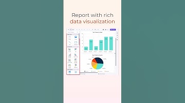 A Quick Introduction to the Standalone Report Designer
