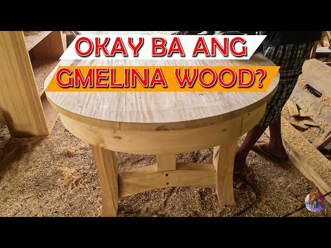 Video: Ano Ang Knifeleaf Acacia Tree: Mga Tip sa Pagpapalaki ng Knifeleaf Wattle