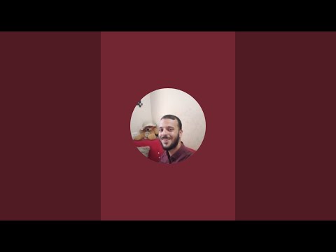 القلب شوارع غزه
