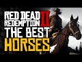 Complete HORSE Guide - The BEST Horses and How To Get Them - Red Dead Redemption 2