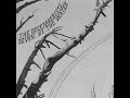 The Decemberists - Down By The Water