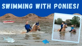 Swimming bareback with ponies! My Pony Popcorn goes for a swim! * SO FUN * FALL OFF  * FOREST RIDE*