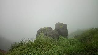 beautiful nature Background screenshot 5