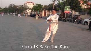 Cambodia Master Kim Taiji Jian Form 32