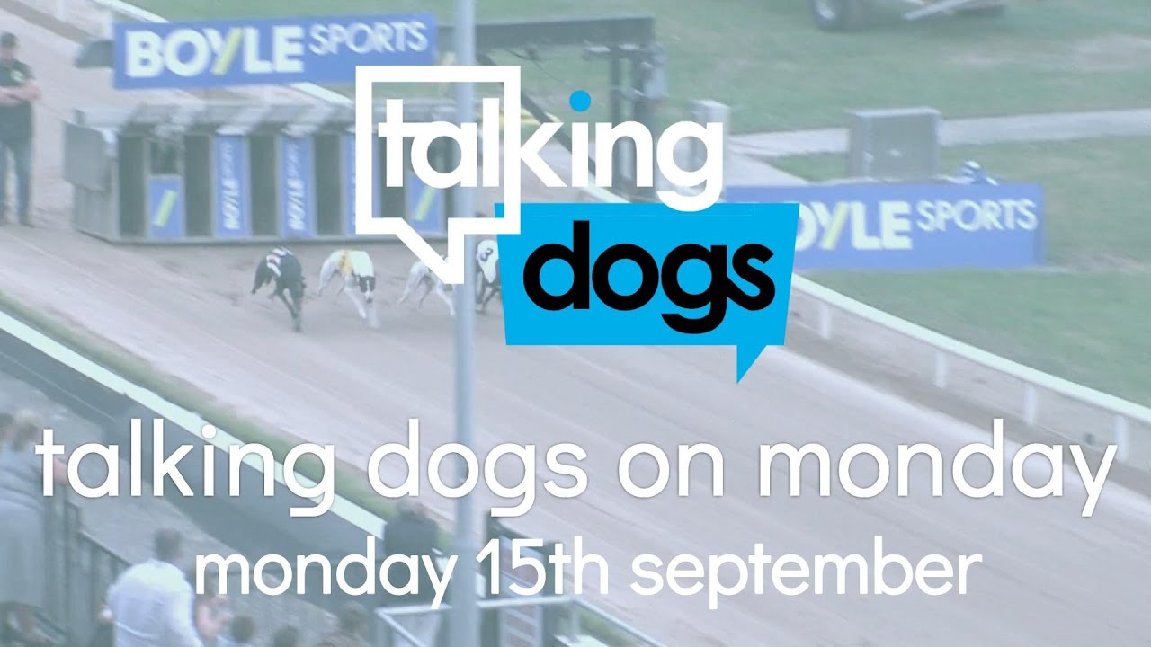 Talking Dogs Monday 15th September - Talking Derby! - YouTube
