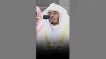 سوره الاخلاص بتلاوه الشيخ ياسر الدوسري #quran #تلاوة_خاشعة #تلاوة_هادئة #تلاوات_ياسر_الدوسري