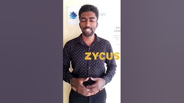 Software Engineer - Zycus  #Zycus  #job  #new  #jobsearch  #trending    #chennai