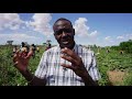 Turkana Video 2023